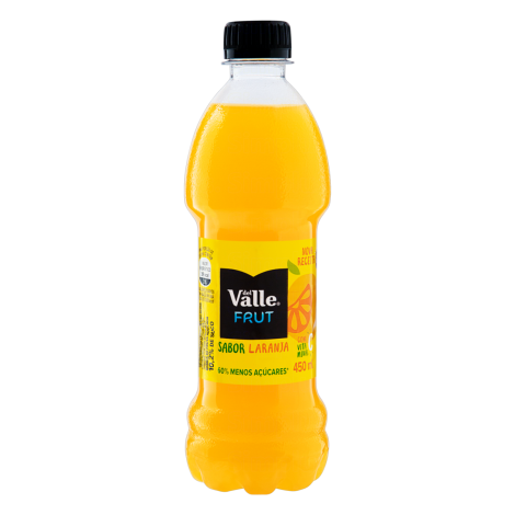 DEL VALLE LIQUIDO GARRAFA FRUT SUCO CITRUS PUNCH 450 ML x 1